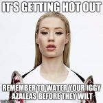 Videos Tagged with iggy azalea